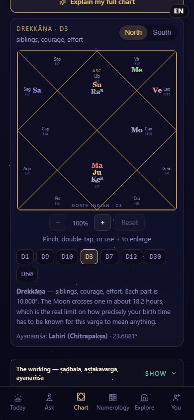 Actual Antaryami Drekkana D3 chart with fictional adult placements and division controls.