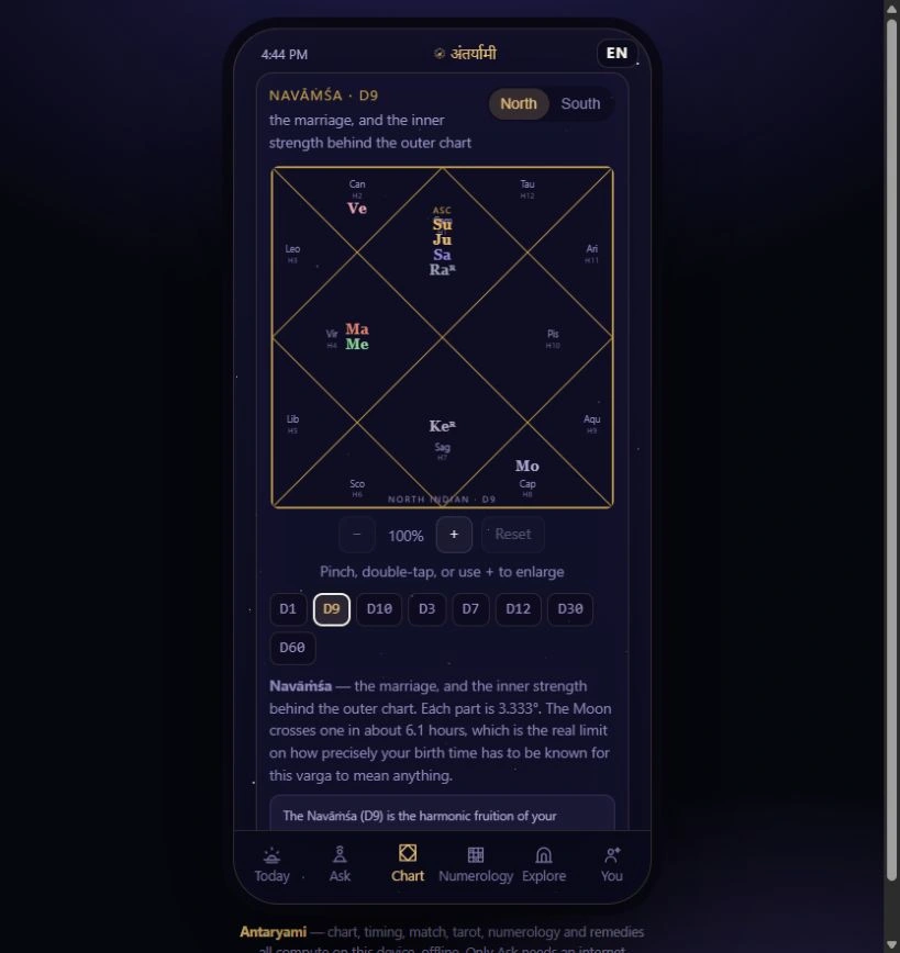 Actual Antaryami Navamsa D9 chart and division controls using fictional adult profile details.