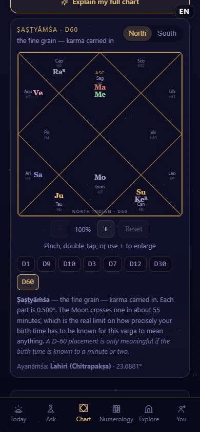 Actual Antaryami Shashtyamsa D60 chart with fine-division warning and fictional adult information.