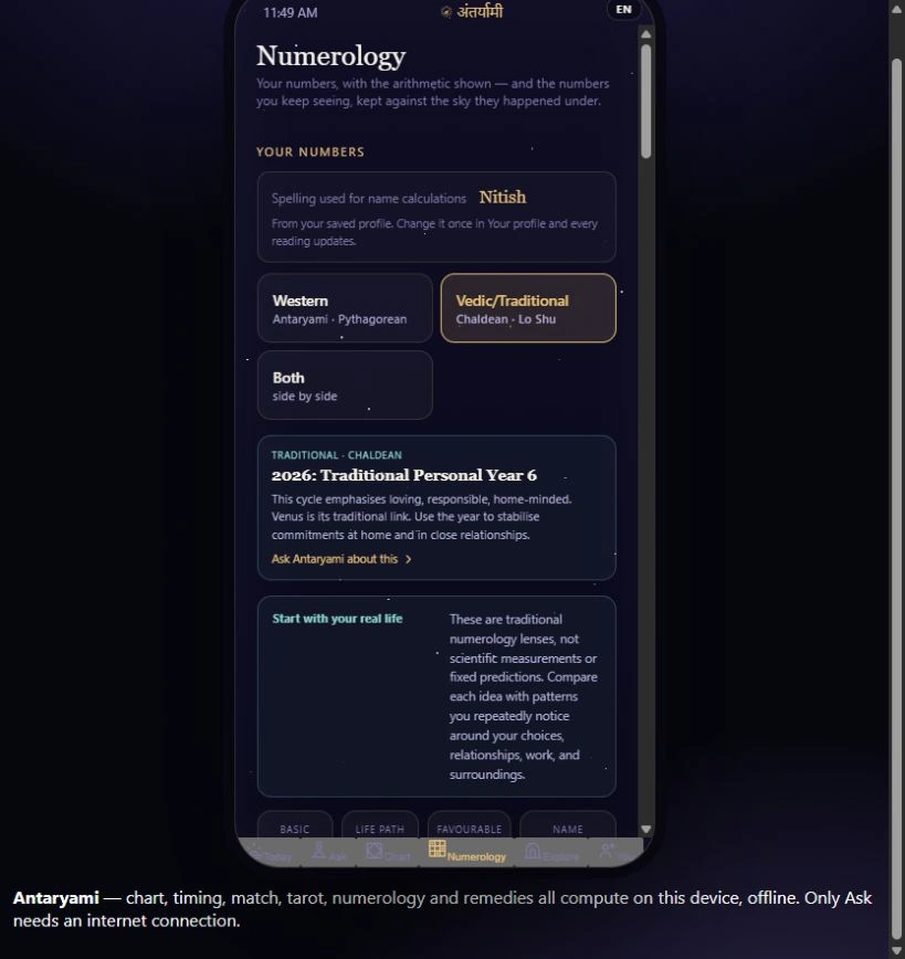 Actual Antaryami Vedic/Traditional numerology screen shown with fictional adult profile details.